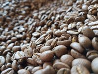 Premium Bio &amp; Fair Trade Espresso